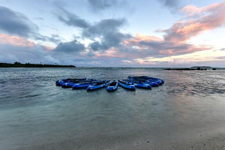 Bio Bay Kayak Tour in Fajardo