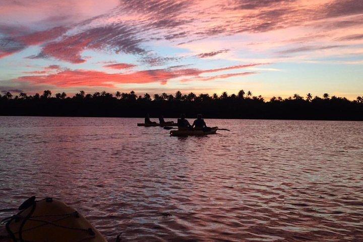 Bio Bay Kayak Tour in Fajardo