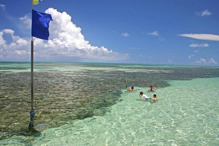 Full-Day Visit to Paripueira Beach and Tide Pools in Maceió