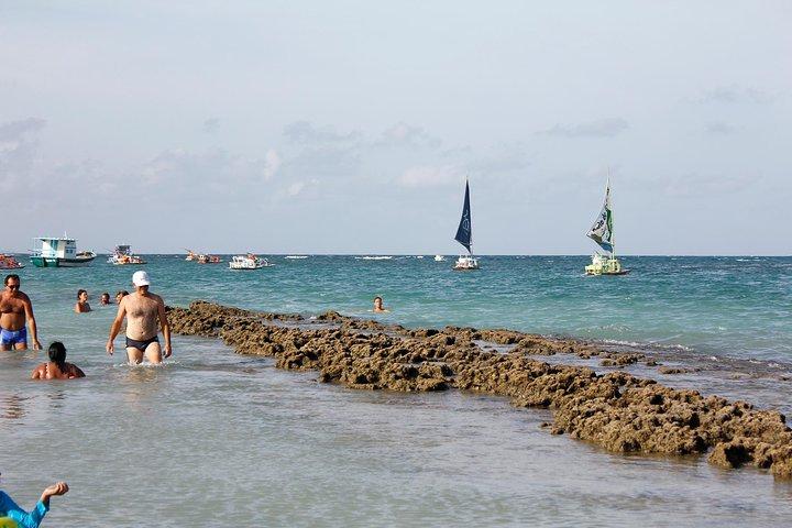 Porto de Galinhas Day Trip