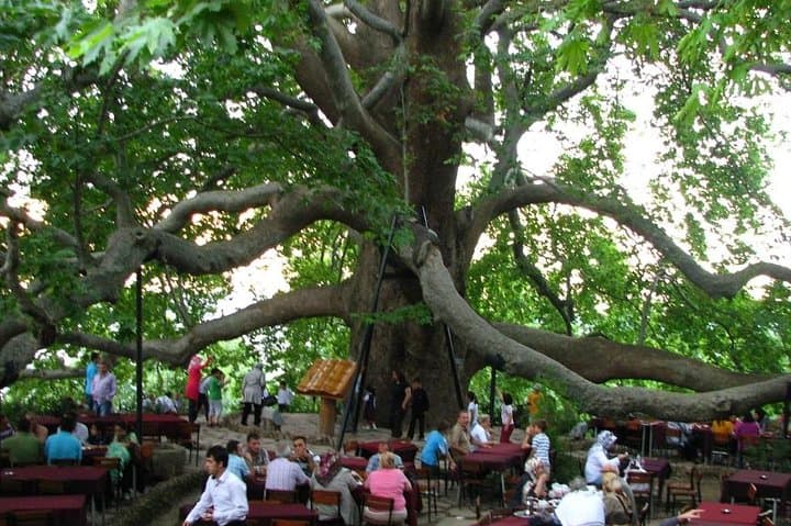 Daily Bursa Uludag Tour