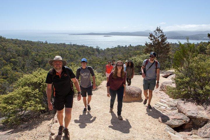Launceston: Wineglass Bay & Freycinet Explorer Day Trip