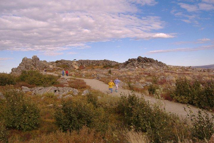 Midnight Sun Arctic Circle Drive Adventure