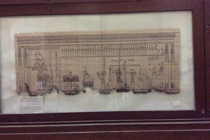 Cairo Egyptian Museum Half-Day with lunch and Hotel Pickup and Drop-Off