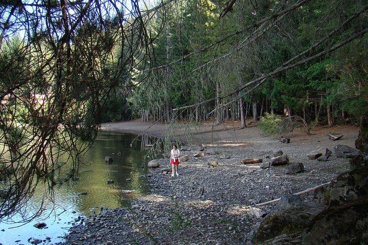 Excursion to San Martin de los Andes via 7-lake Circuit, from Bariloche