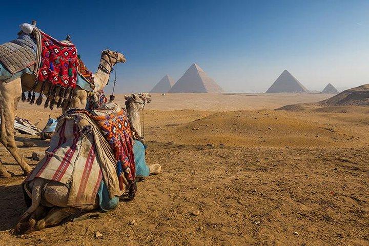 Camel Ride at Giza Pyramids During Sunset