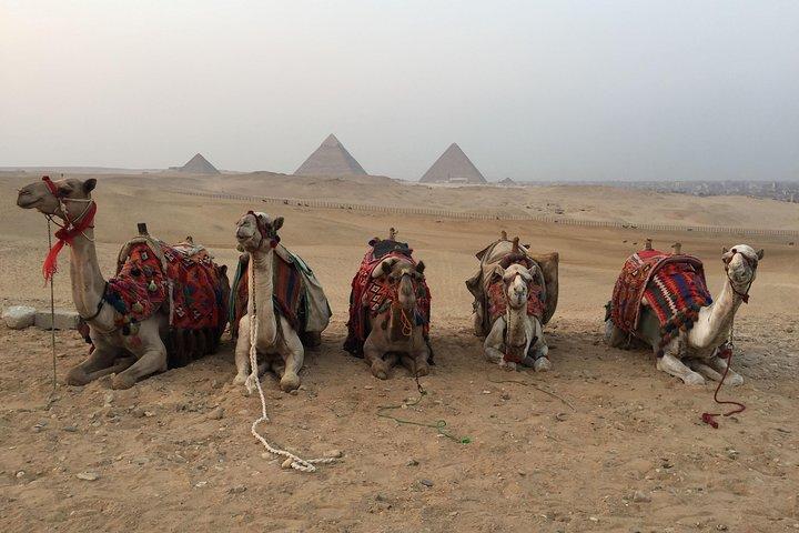 Camel Ride at Giza Pyramids During Sunset