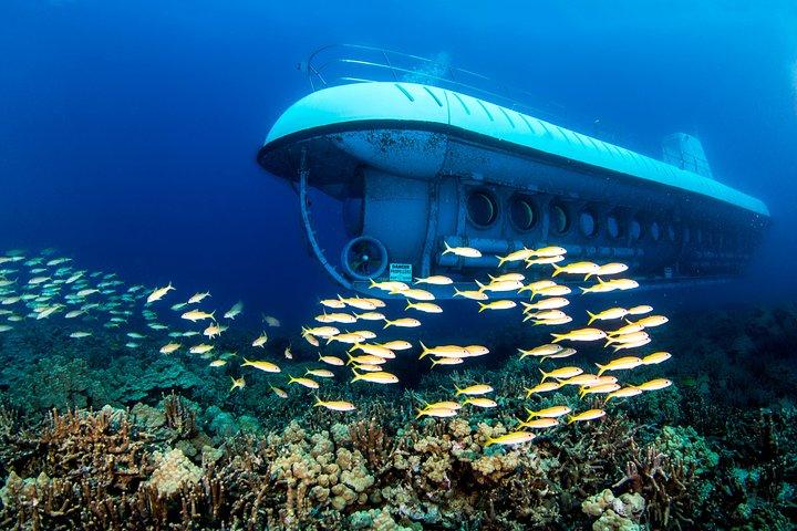 Big Island: Atlantis Submarine from Kona Beach
