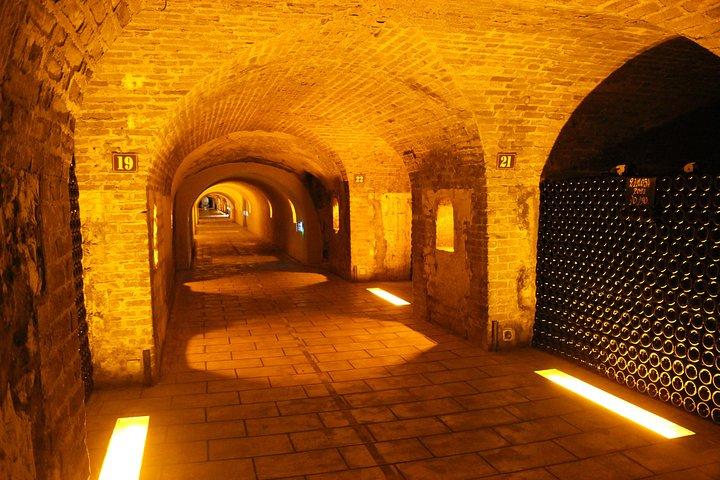 Champagne Private Day trip from Paris with 8 Tastings & Lunch
