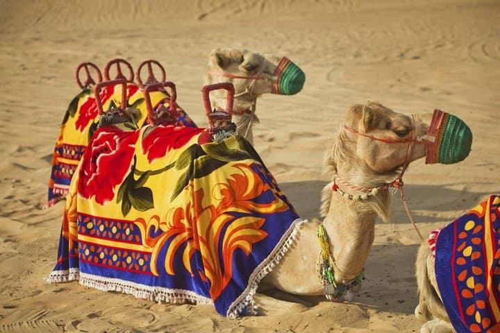 Private Desert Safari Dubai with BBQ Dinner