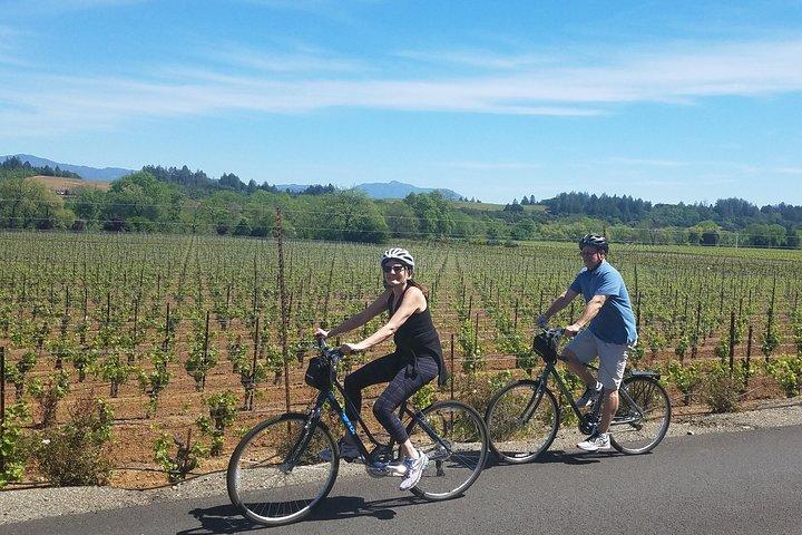 Sonoma Valley Pedal Assist Bike Tour with Lunch