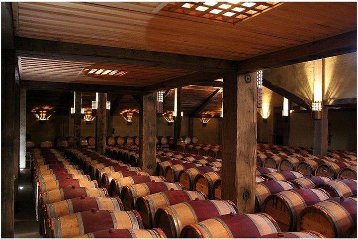 Shore excursion: Napier-Premium Wineries & Sights /Art deco tour