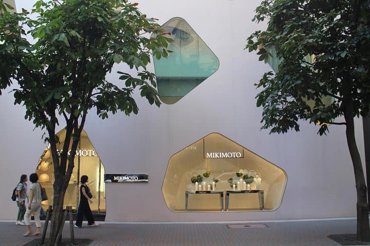 Private Ginza Architecture Walking Tour