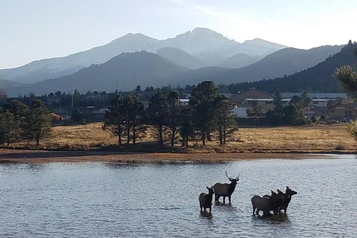 Rocky Mountain National Park and Estes Park Tour from Denver Winter and Spring