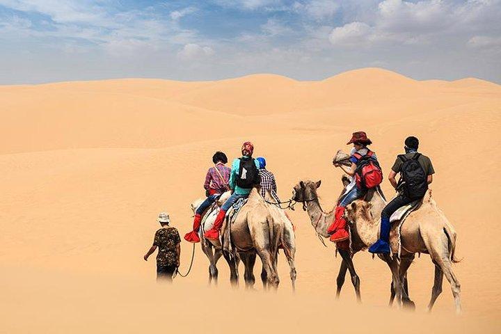 Morning Dubai desert safari - camel rides, quad bikes, dune buggies,dune bashing