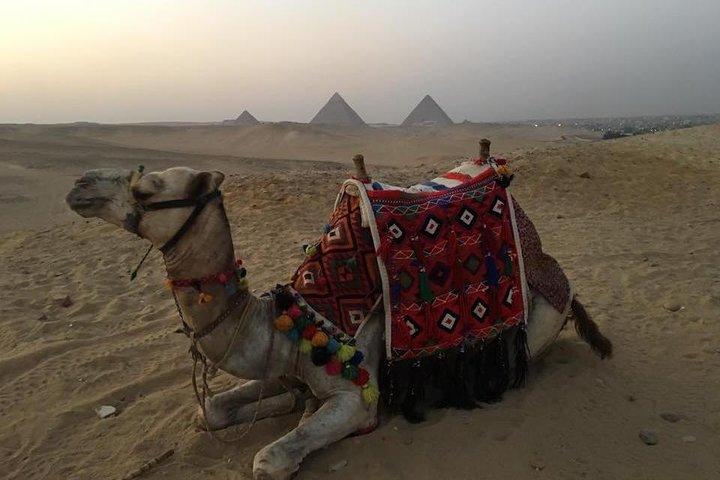 4 -hours Giza Pyramids Tours , Sphinx , lunch and Camel Riding