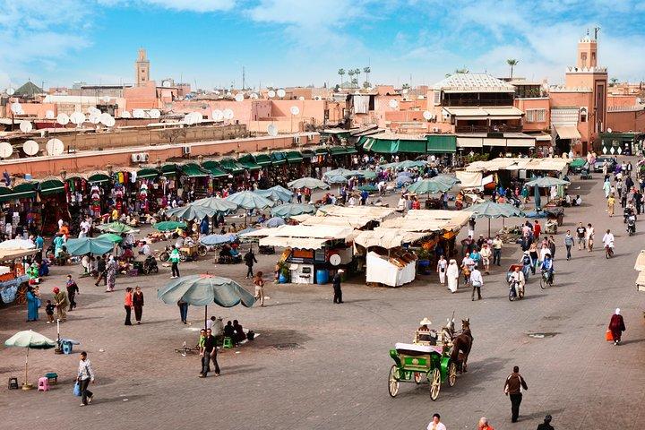 Marrakech Guided Day Trip from Casablanca: Djemaa el-Fna Square and Bahia Palace
