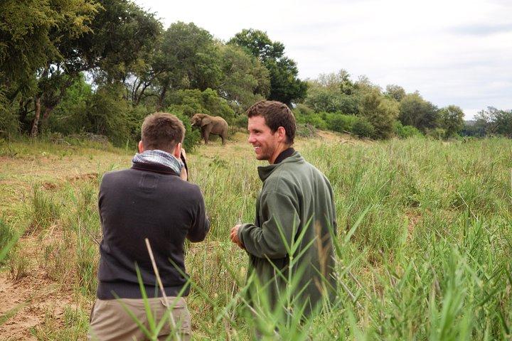 5 Day Lodge and Treehouse Kruger National Park Safari