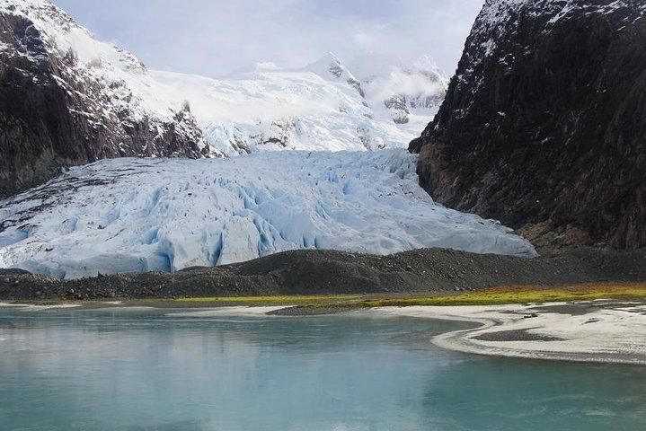 Balmaceda and Serrano Glaciers Sightseeing Cruise from Puerto Natales
