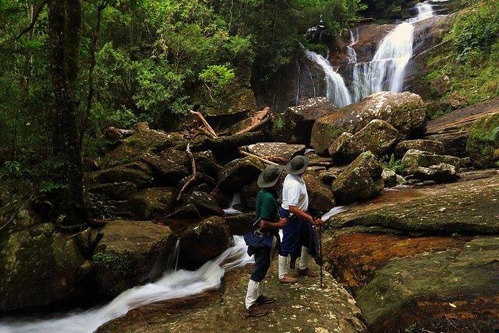 Private Day Trip To Sinharaja Rain Forest From Colombo