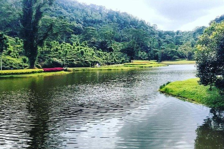 Seethawaka Botanical Garden Day Tour From Colombo With Lunch