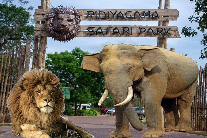 Day Tour To Ridiyagama Safari Park From Colombo
