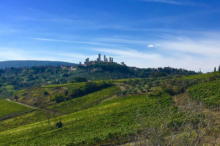Siena and San Gimignano Tour from Florence