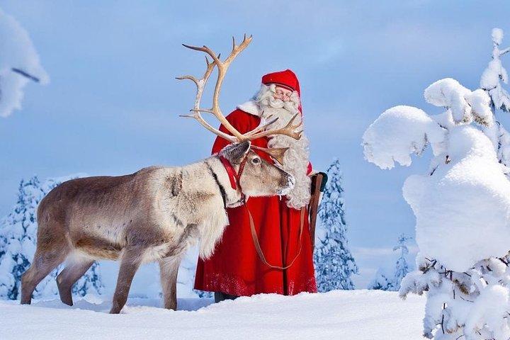Reindeer Sleigh Ride and Farm Experience from Rovaniemi