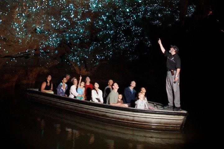 Hobbiton and Waitomo Caves Exclusive Luxury Tour From Auckland