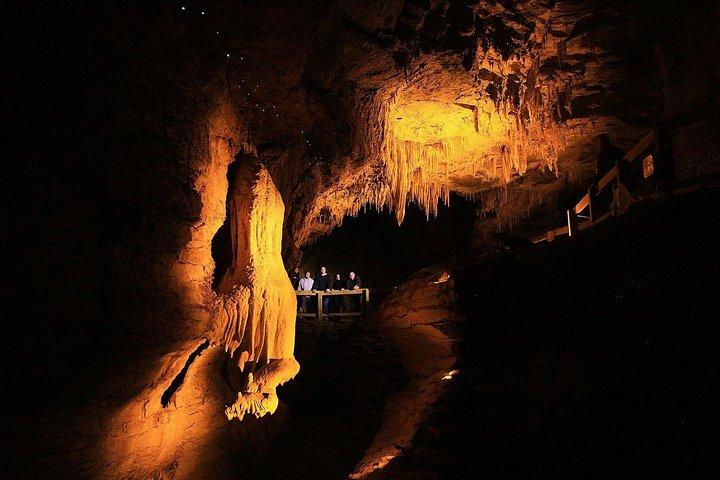 Sanctuary Mountain (Mt Maungatautari) & Waitomo Luxury Day tour from Auckland
