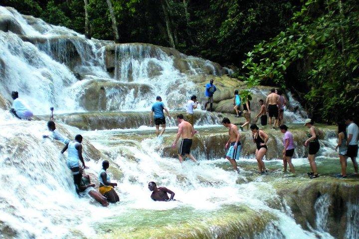Montego Bay to Dunn's River Falls Half-Day Trip