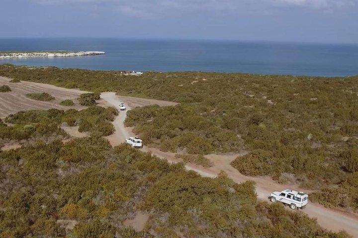Half day Safari Tour to Akamas Peninsula from Paphos