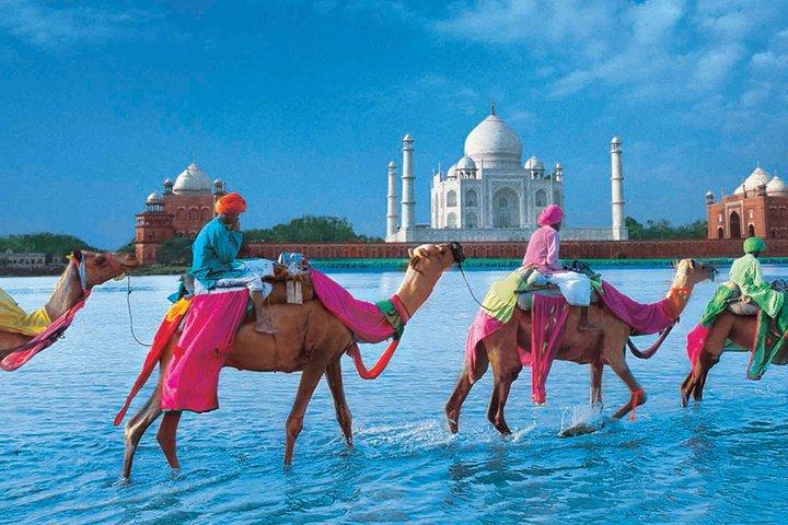 Private Trip : Agra Full-day Tour With Taj Mahal , Agra Fort & Fatehpur Sikri
