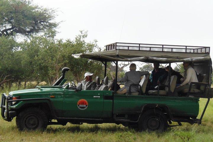 The Best of Botswana & Vic Falls - By Walking Stick Safaris