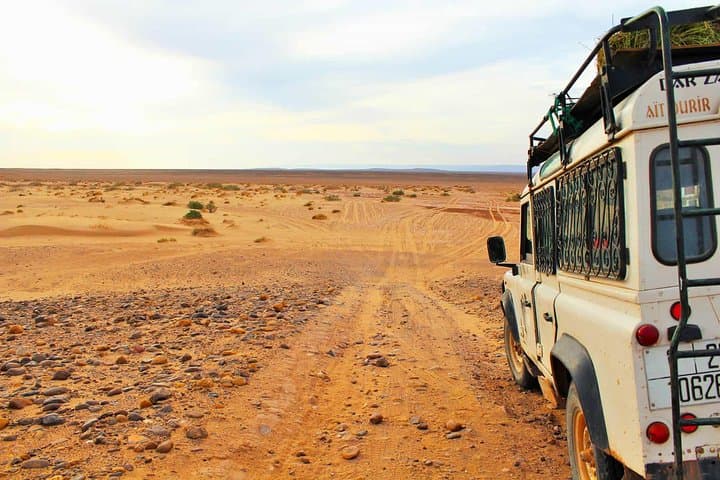 Full-Day Safari Small Desert With Lunch