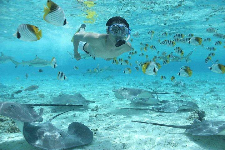 Bora Bora Jet Ski Tour, & Eco Shark / Ray Snorkel Cruise