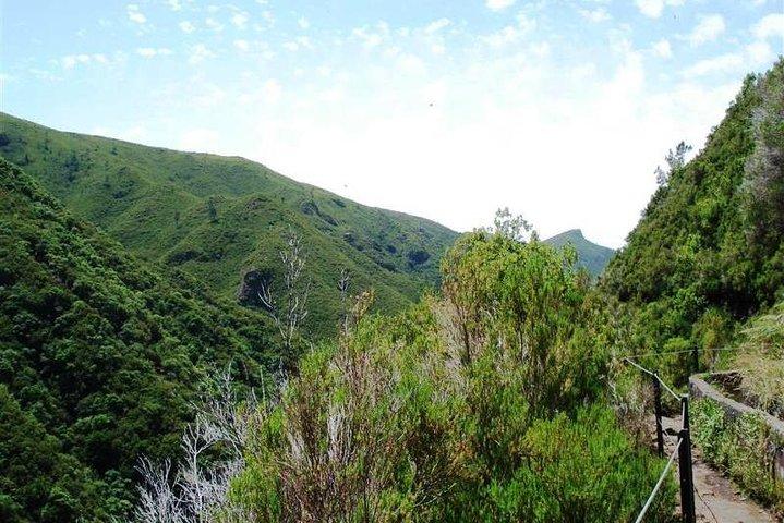 Private Guided Walk Levada 25 Fontes