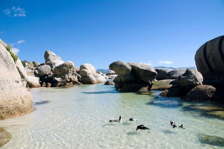 Cape Town: Cape Peninsula Half Day Private Tour