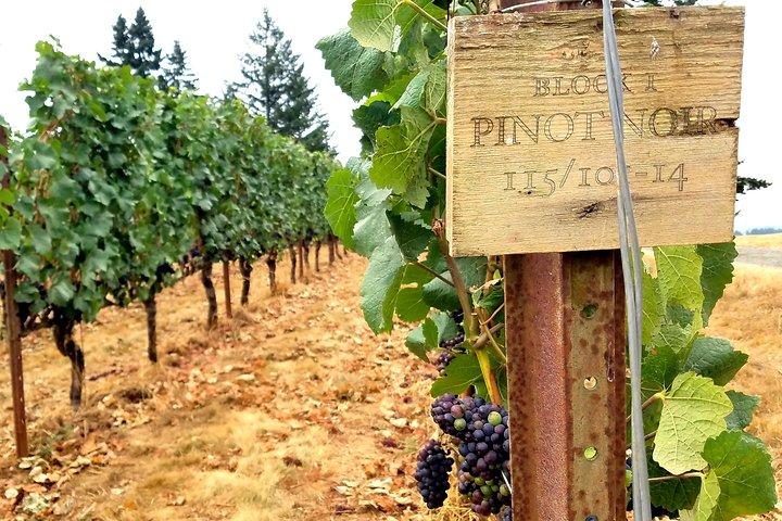 Willamette Valley Wine Tour - Full Day Tour