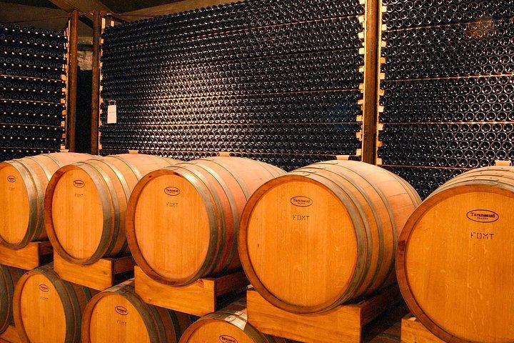 Malbec Experience in Bodega Tierras Altas