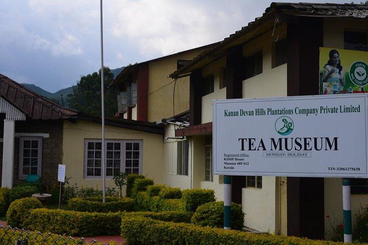 Private Day Trip to Munnar from Kochi (Cochin)