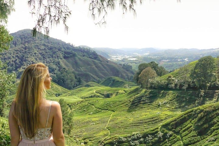 Explore Cameron Highlands: Full-Day Tour with Scenic Batu Caves