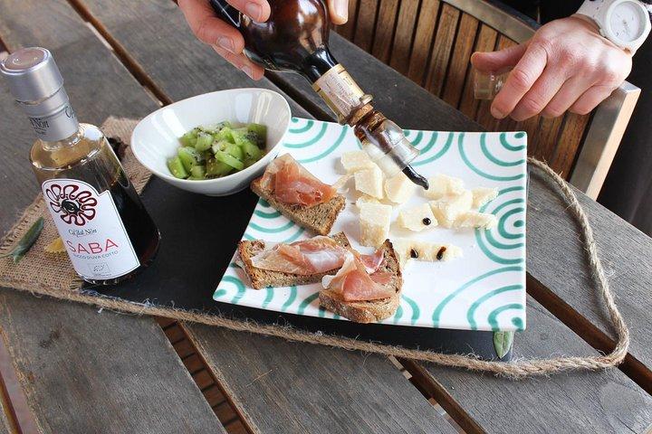 Owner-Led Balsamic Vinegar Tour & Tasting in Vignola, Modena