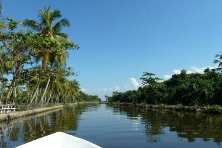 Exclusive: Muthurajawela Bird Watching Tour with Transfers