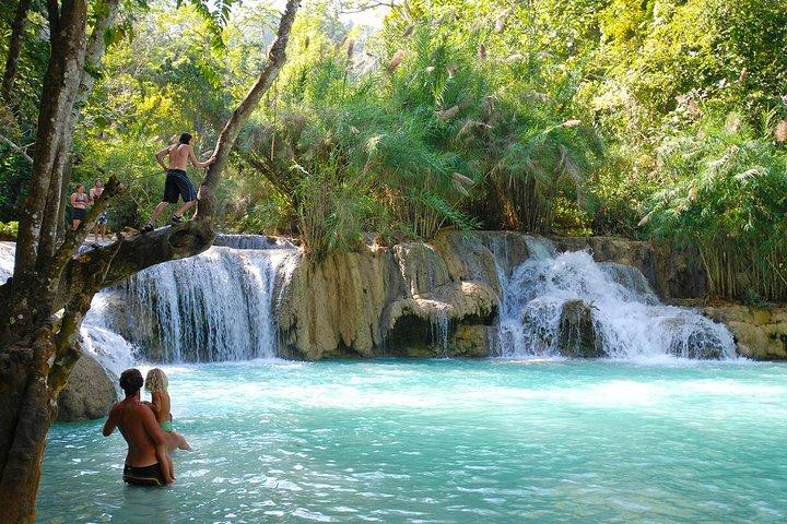 Rice is Life Experience & Kuang Si Waterfall - Luang Prabang full day tour