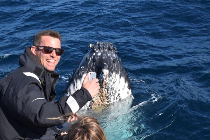 Sydney Whale-Watching by Speed Boat