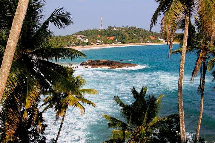 8 Day Sri Lanka Private Tour with Driver and Accommodation
