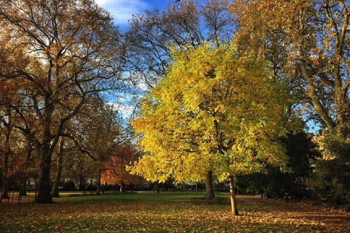London Literary Private Walking Tour Of Bloomsbury