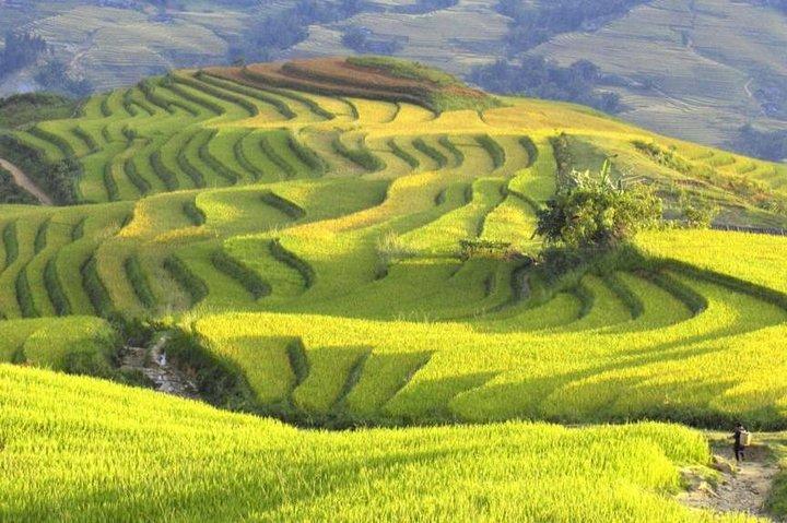 Hanoi-Sapa Trek 2 days 2 nights and Homestay with small group