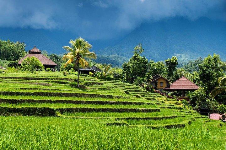 Private tour- UNESCO rice terraces, Ulundanu Beratan, Batukaru, Tanah lot temple